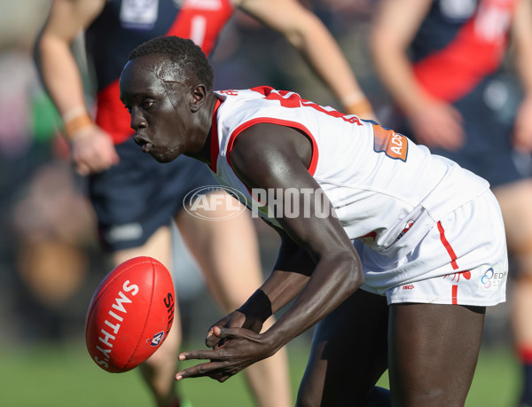 VFL 2024 Round 13 - Coburg v Northern Bullants - A-51240537