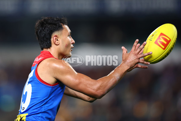 AFL 2024 Round 16 - Brisbane v Melbourne - A-51414990
