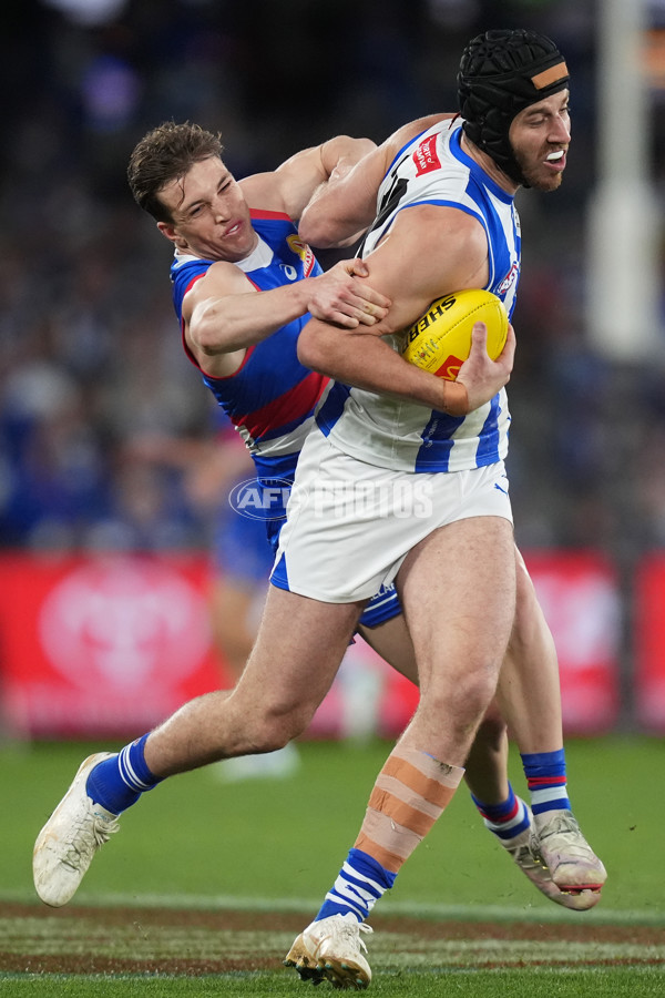 AFL 2024 Round 16 - North Melbourne v Western Bulldogs - A-51424146