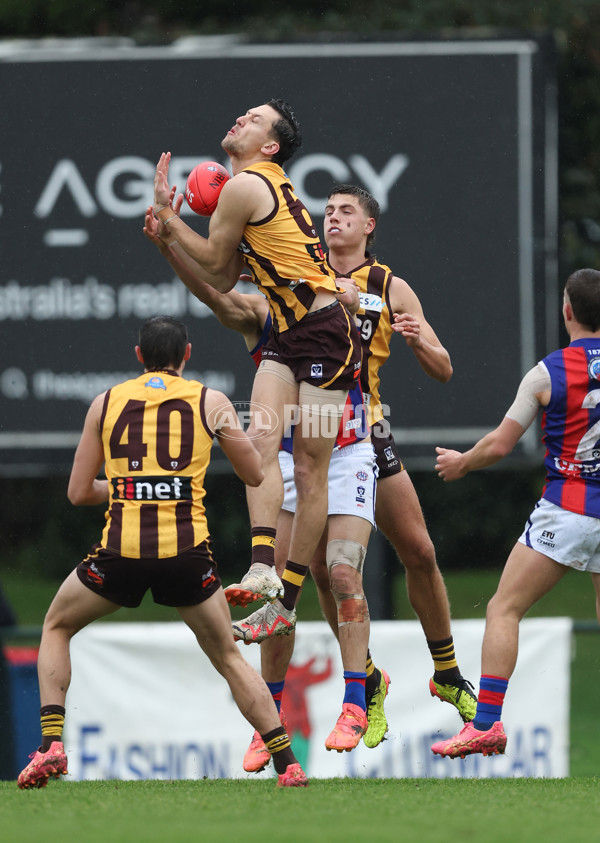 VFL 2024 Round 14 - Box Hill v Port Melbourne - A-51426519