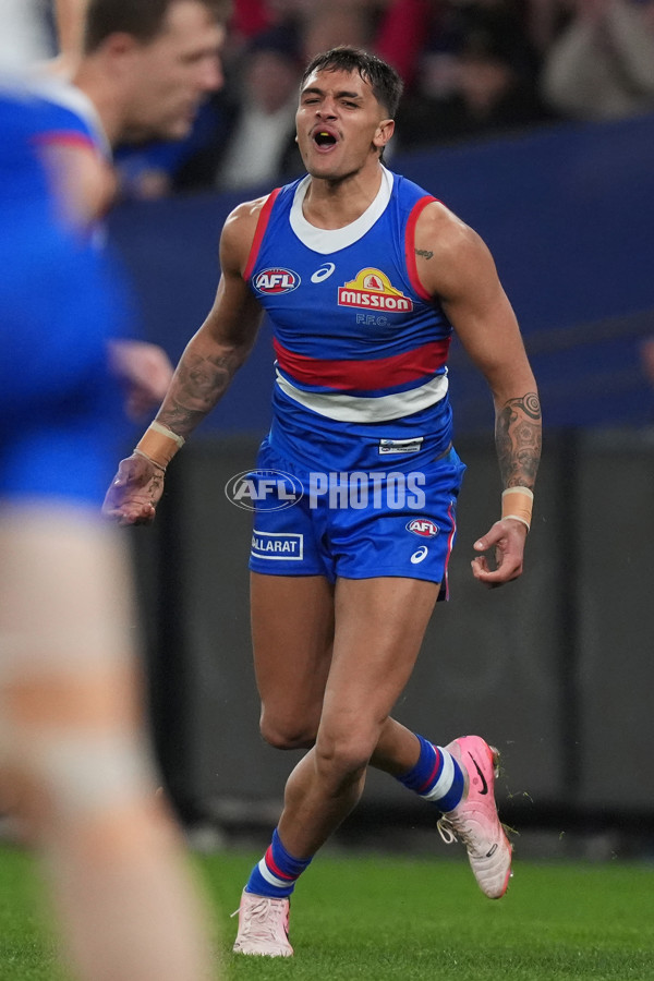 AFL 2024 Round 16 - North Melbourne v Western Bulldogs - A-51429281