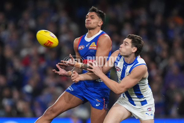 AFL 2024 Round 16 - North Melbourne v Western Bulldogs - A-51432236