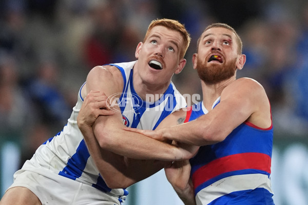 AFL 2024 Round 16 - North Melbourne v Western Bulldogs - A-51432264