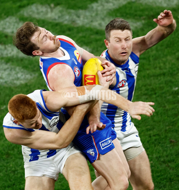 AFL 2024 Round 16 - North Melbourne v Western Bulldogs - A-51432309