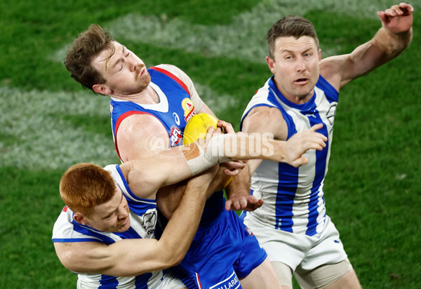 AFL 2024 Round 16 - North Melbourne v Western Bulldogs - A-51432314
