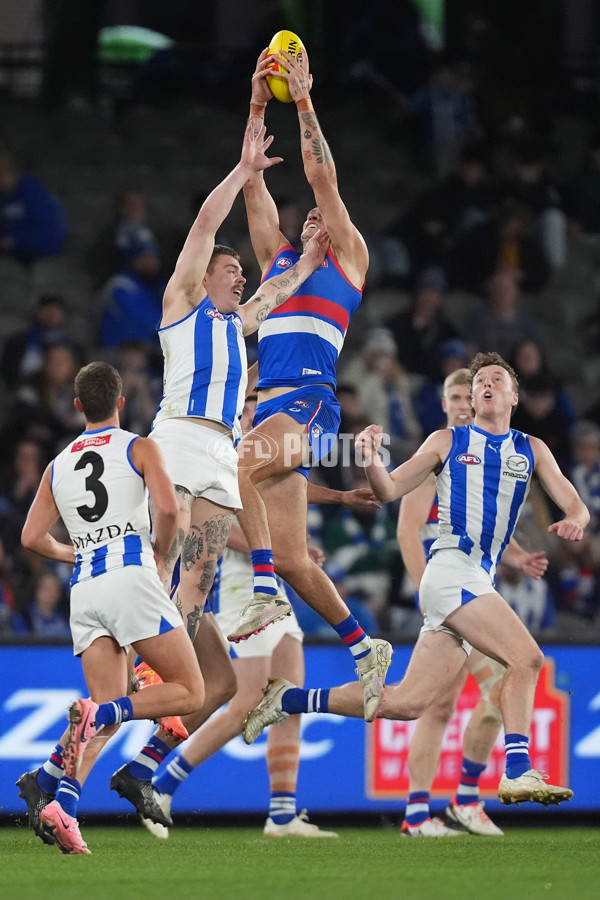 AFL 2024 Round 16 - North Melbourne v Western Bulldogs - A-51432661