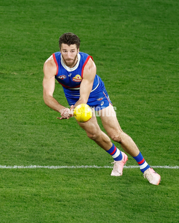 AFL 2024 Round 16 - North Melbourne v Western Bulldogs - A-51432710