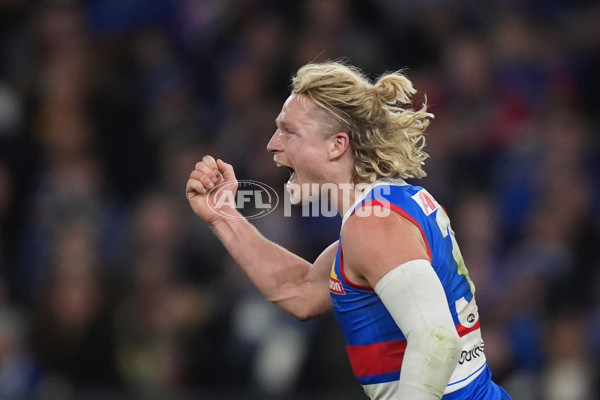 AFL 2024 Round 16 - North Melbourne v Western Bulldogs - A-51435307