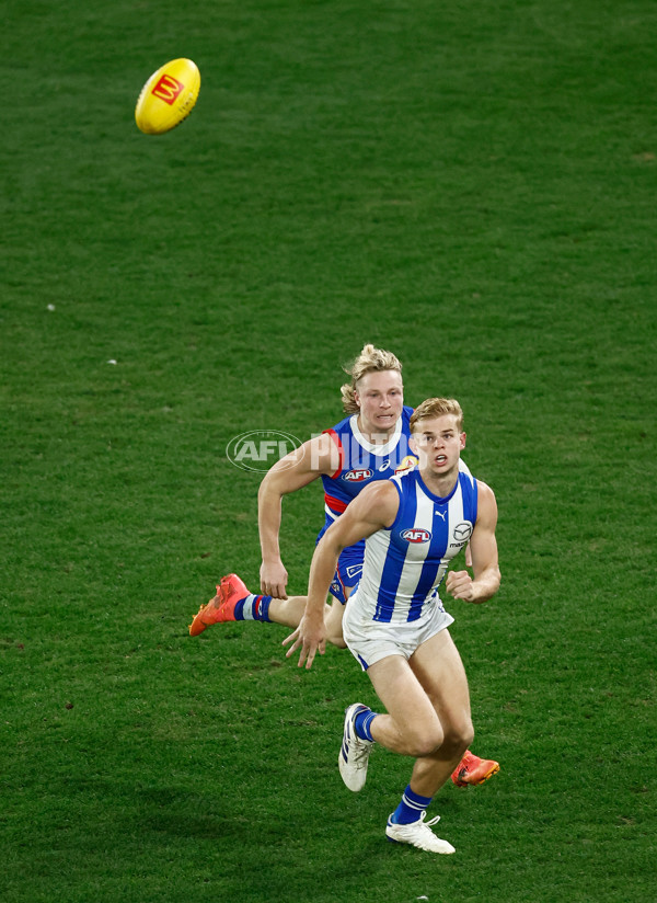 AFL 2024 Round 16 - North Melbourne v Western Bulldogs - A-51440996