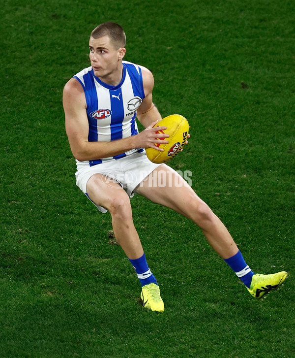 AFL 2024 Round 16 - North Melbourne v Western Bulldogs - A-51440997