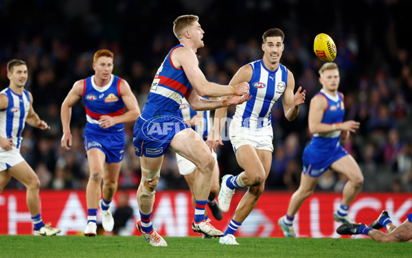 AFL 2024 Round 16 - North Melbourne v Western Bulldogs - A-51441436