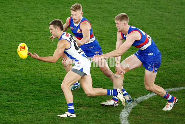 AFL 2024 Round 16 - North Melbourne v Western Bulldogs - A-51441479