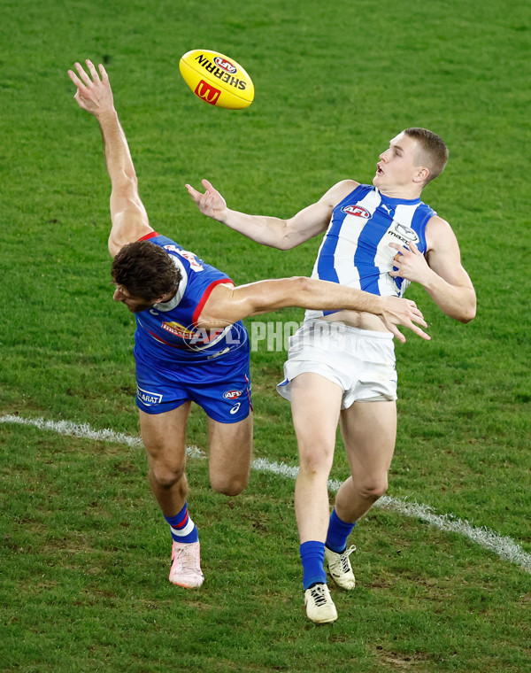 AFL 2024 Round 16 - North Melbourne v Western Bulldogs - A-51441484