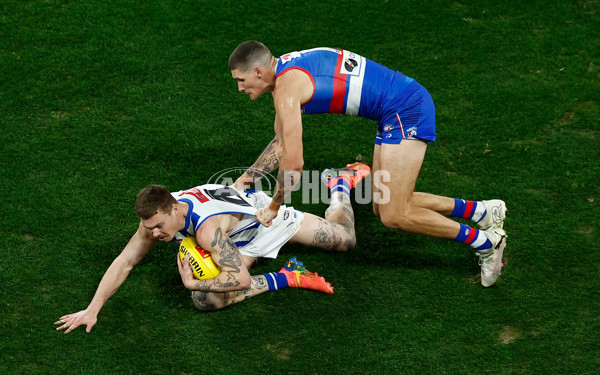AFL 2024 Round 16 - North Melbourne v Western Bulldogs - A-51441504