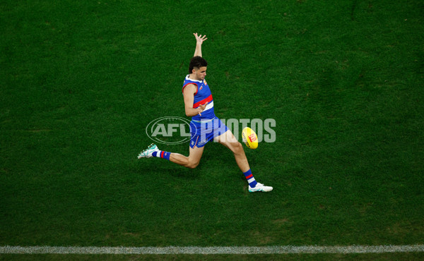 AFL 2024 Round 16 - North Melbourne v Western Bulldogs - A-51441507