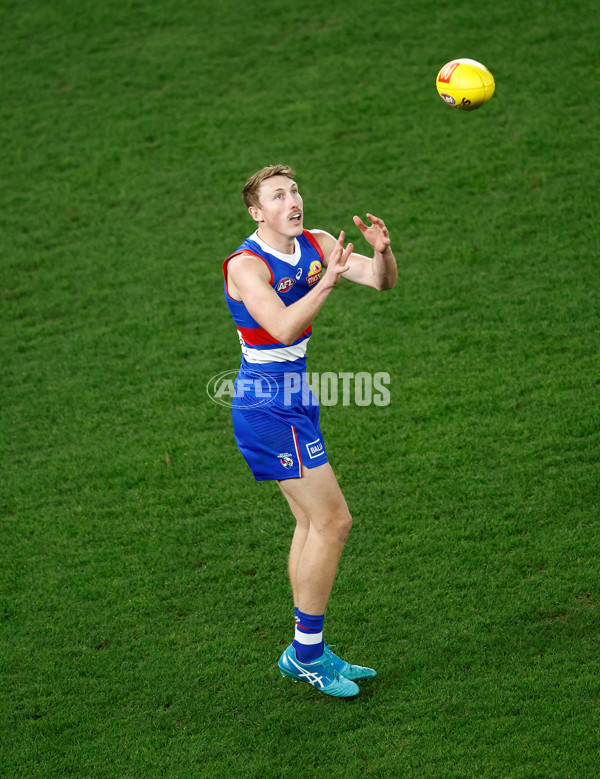 AFL 2024 Round 16 - North Melbourne v Western Bulldogs - A-51443348