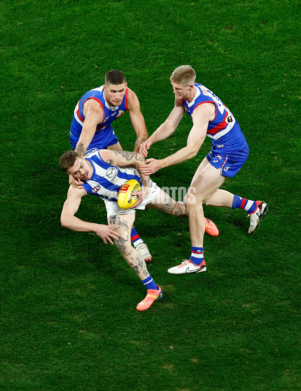 AFL 2024 Round 16 - North Melbourne v Western Bulldogs - A-51443382