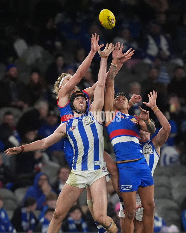 AFL 2024 Round 16 - North Melbourne v Western Bulldogs - A-51444445