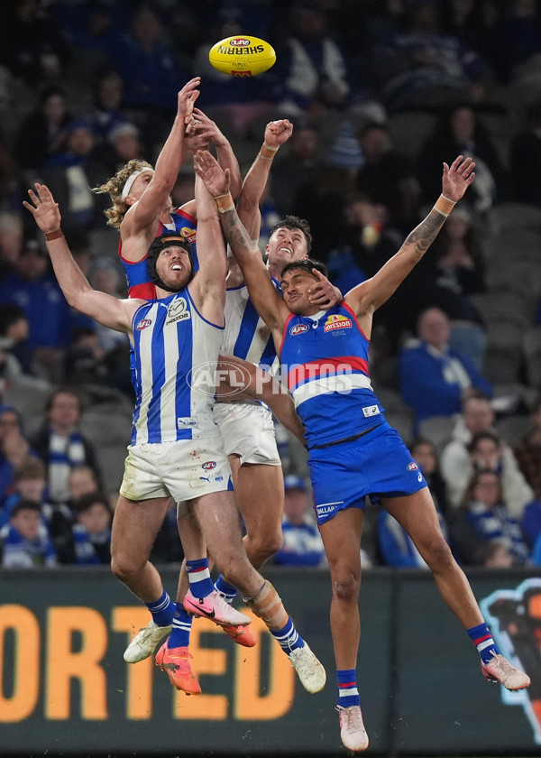 AFL 2024 Round 16 - North Melbourne v Western Bulldogs - A-51444446