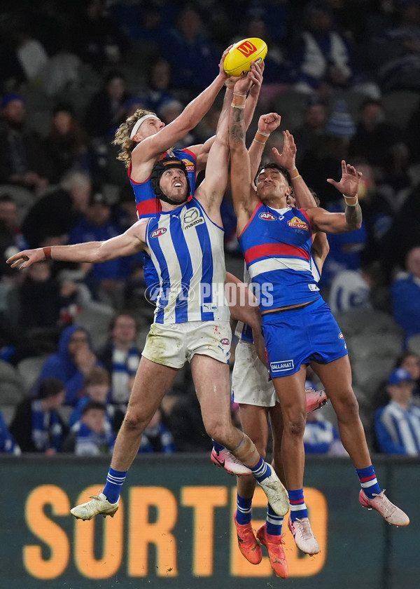 AFL 2024 Round 16 - North Melbourne v Western Bulldogs - A-51444448