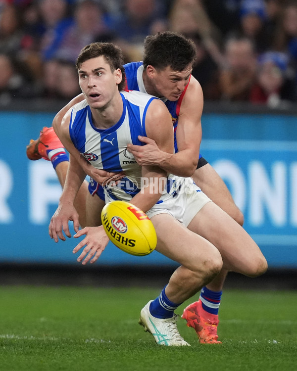 AFL 2024 Round 16 - North Melbourne v Western Bulldogs - A-51445812