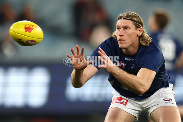 AFL 2024 Round 16 - Geelong v Essendon - A-51449951