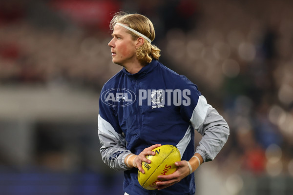 AFL 2024 Round 16 - Geelong v Essendon - A-51451127