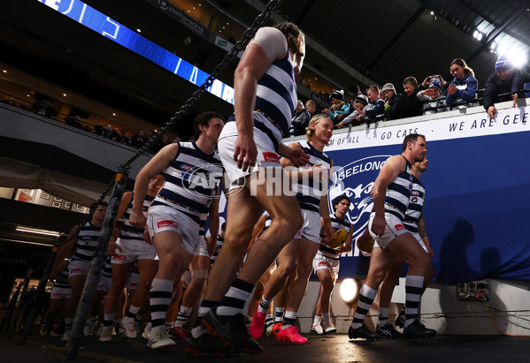 AFL 2024 Round 16 - Geelong v Essendon - A-51454254