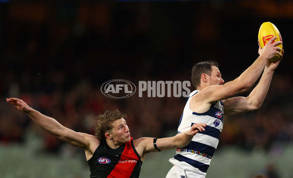 AFL 2024 Round 16 - Geelong v Essendon - A-51454336