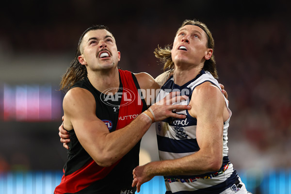 AFL 2024 Round 16 - Geelong v Essendon - A-51454345