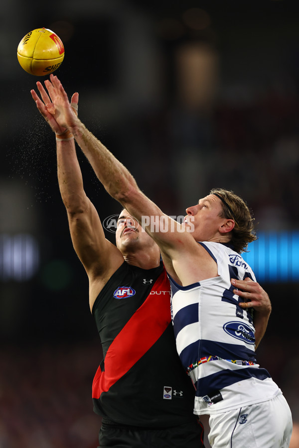 AFL 2024 Round 16 - Geelong v Essendon - A-51454346