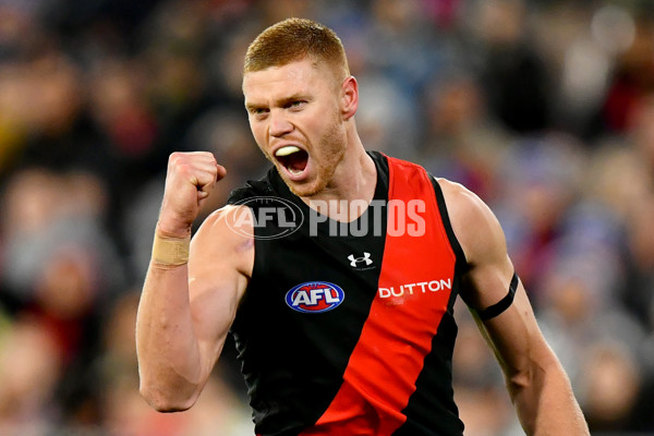 AFL 2024 Round 16 - Geelong v Essendon - A-51455296