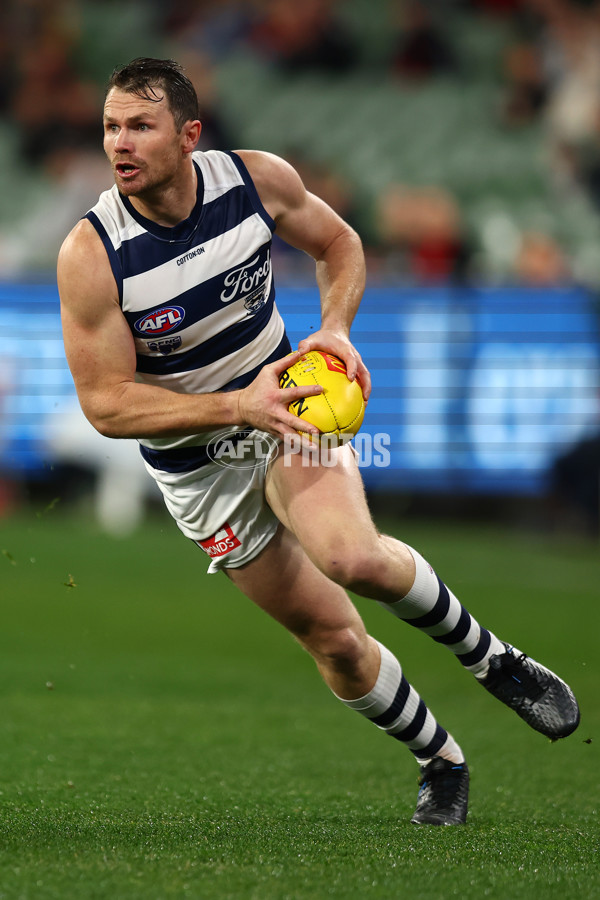 AFL 2024 Round 16 - Geelong v Essendon - A-51455297