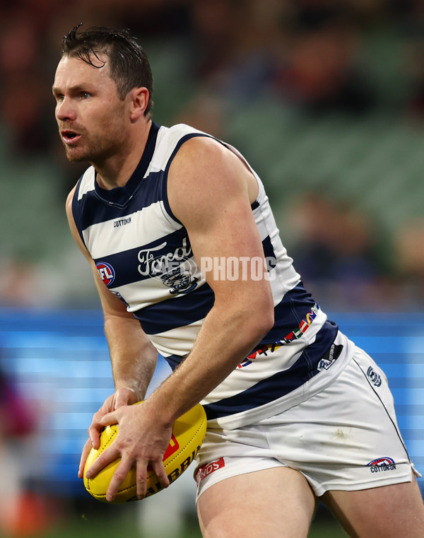 AFL 2024 Round 16 - Geelong v Essendon - A-51455301