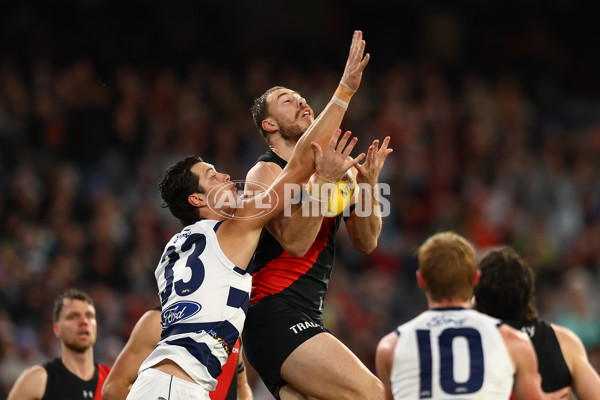 AFL 2024 Round 16 - Geelong v Essendon - A-51455322