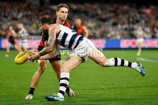 AFL 2024 Round 16 - Geelong v Essendon - A-51457030