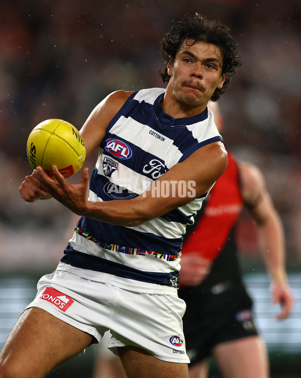 AFL 2024 Round 16 - Geelong v Essendon - A-51458283