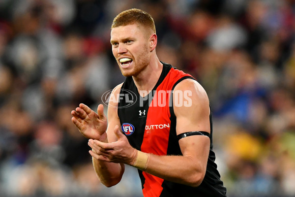 AFL 2024 Round 16 - Geelong v Essendon - A-51459406