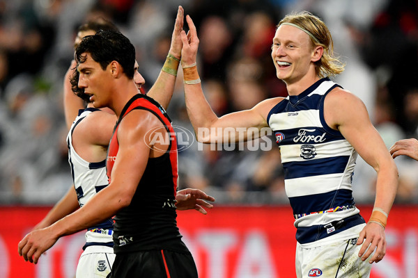 AFL 2024 Round 16 - Geelong v Essendon - A-51459433