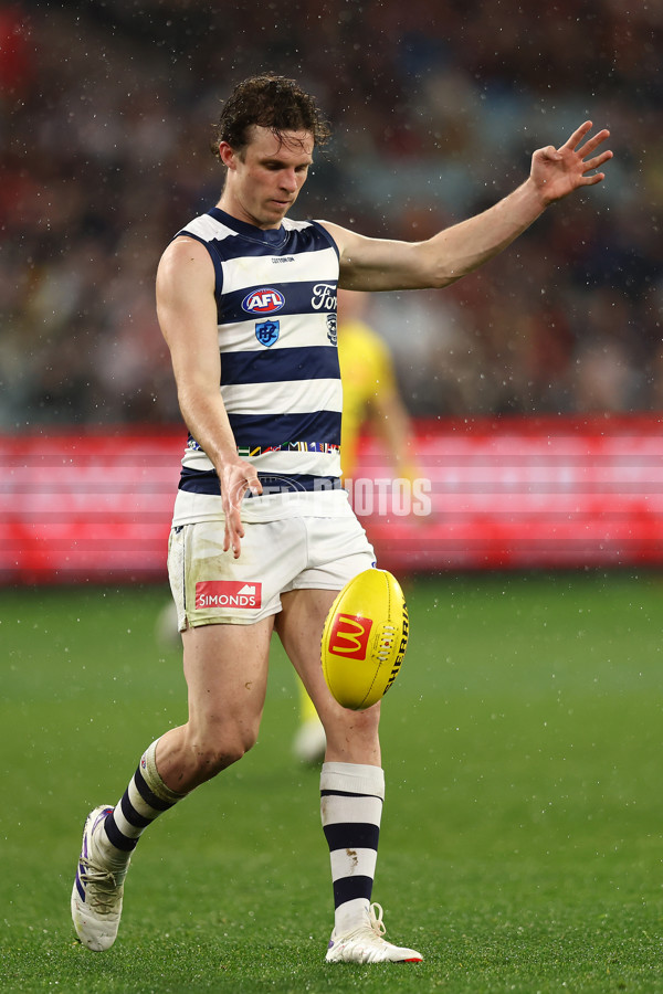 AFL 2024 Round 16 - Geelong v Essendon - A-51459445