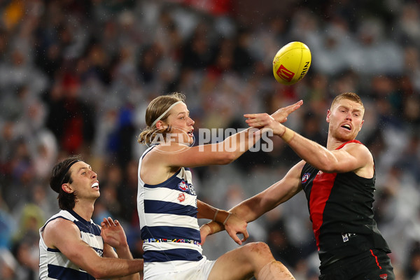 AFL 2024 Round 16 - Geelong v Essendon - A-51459466