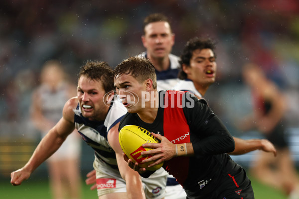 AFL 2024 Round 16 - Geelong v Essendon - A-51461118