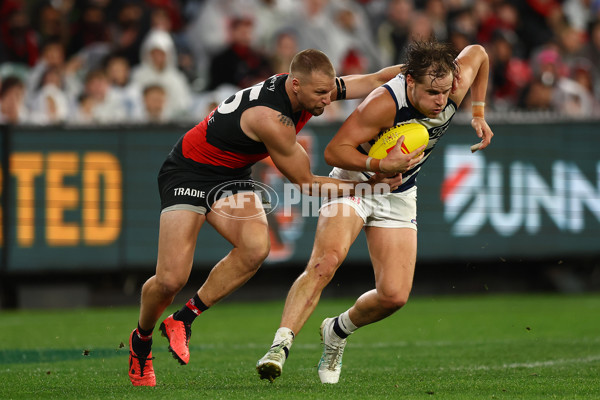 AFL 2024 Round 16 - Geelong v Essendon - A-51461123