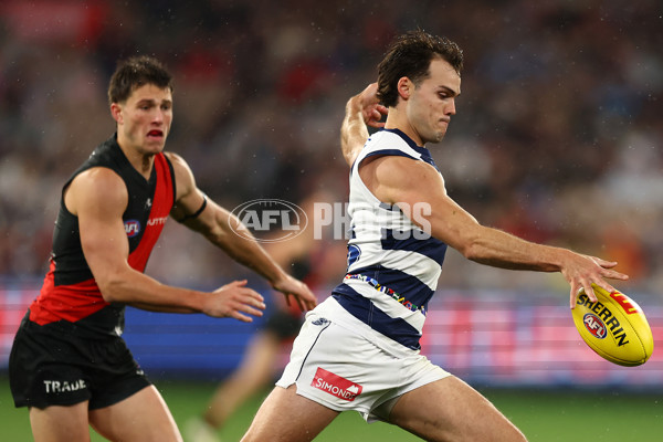 AFL 2024 Round 16 - Geelong v Essendon - A-51461134