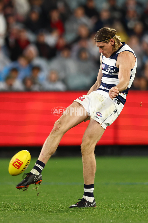 AFL 2024 Round 16 - Geelong v Essendon - A-51461188
