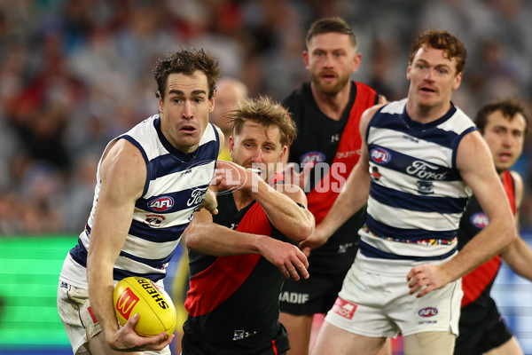 AFL 2024 Round 16 - Geelong v Essendon - A-51461189