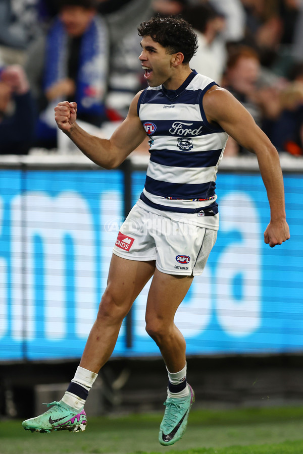AFL 2024 Round 16 - Geelong v Essendon - A-51461190