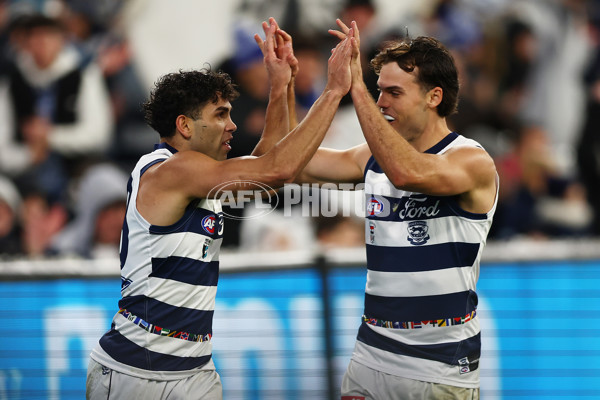 AFL 2024 Round 16 - Geelong v Essendon - A-51461191