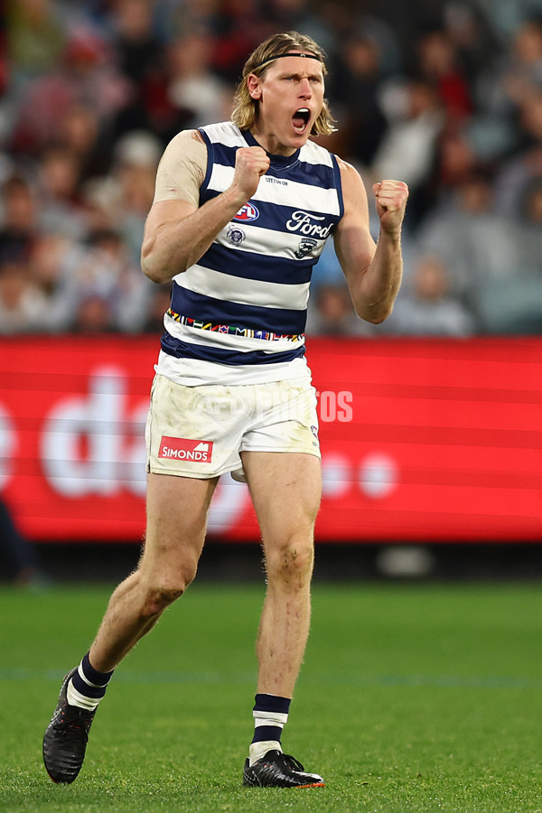 AFL 2024 Round 16 - Geelong v Essendon - A-51461193