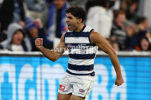 AFL 2024 Round 16 - Geelong v Essendon - A-51462080